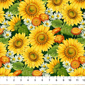Sunshine Harvest Dark Green Multi Packed Sunflower