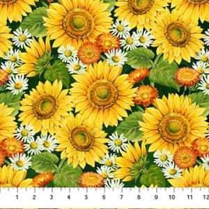 Sunshine Harvest Dark Green Multi Packed Sunflower