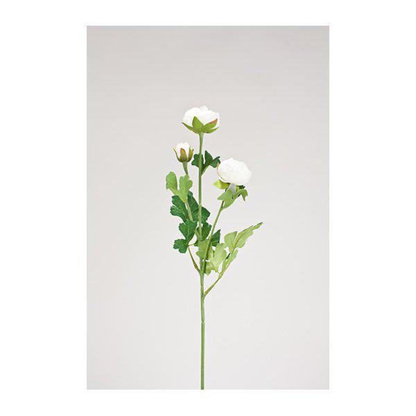 Ranunkelkvist med vita blommor