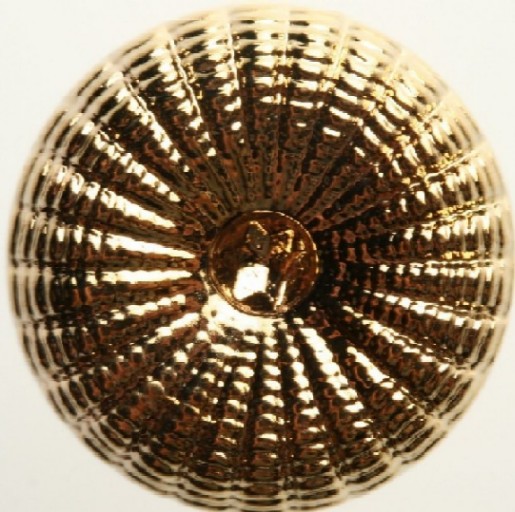 Knappask F 13 mm knapp i guld 7 st