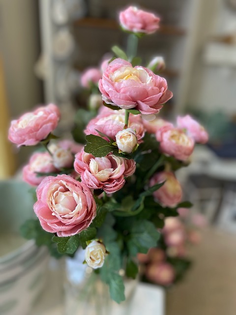 Ranunkelkvist med rosa blommor.
