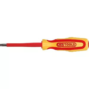 Isolerad skruvmejsel för inner-Torx-skruvar. T10