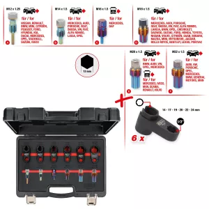 Master-reparations-verktygssats för avgassonder. 12 delar