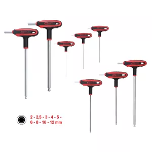 T-grepp insexnyckelsats med kula. 9 delar