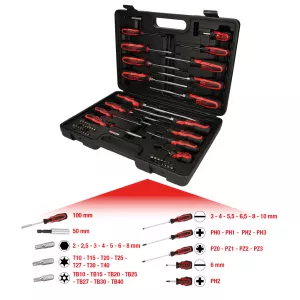 ERGOTORQUE skruvmejsel-och bit-sats 39-delar