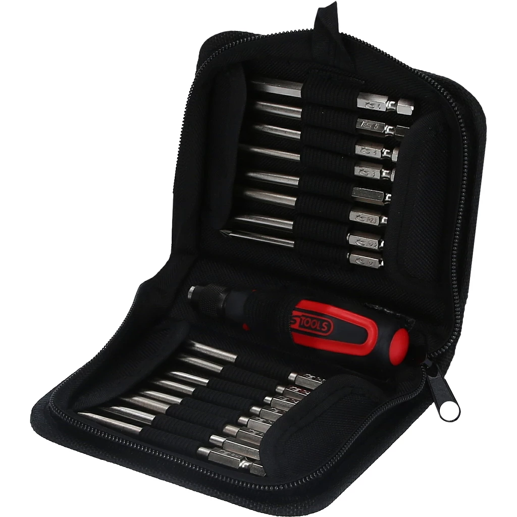 ERGOTORQUEplus® bit sats. 17-delar