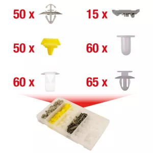 Fastsättningsklämma-sats för Renault. 300-delar