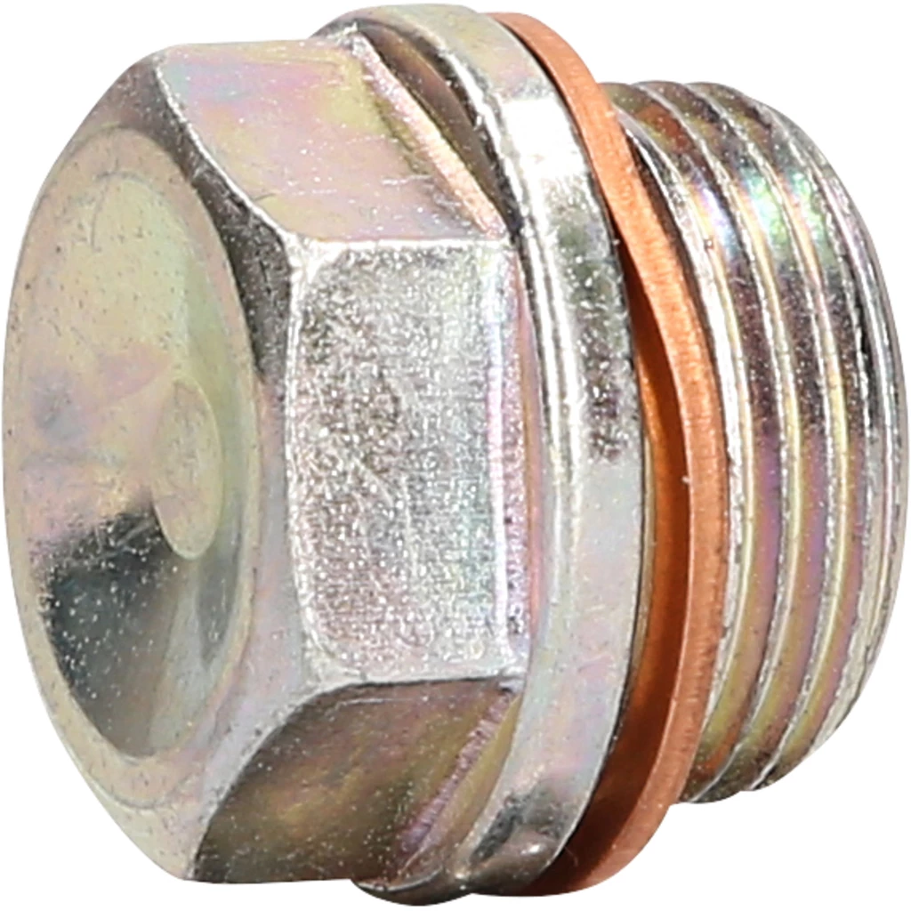 Oljeavtappningsskruv M22 x 1.5 x 21 mm till Iveco