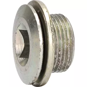 Oljeavtappningsskruv M22 x 1.5 x 17 mm till DAF