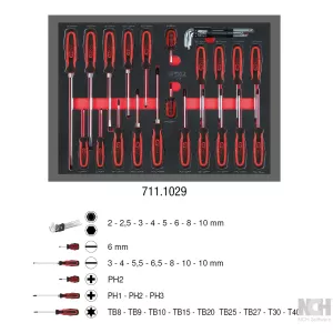 SCS skruvmejsel-sats. 29-delar. 1/1 systeminlägg