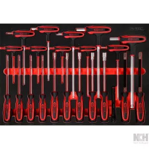 T-handtag- och skruvmejsel-sats i skuminsats. 22 delar