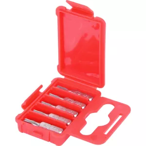 1/4" Bit Torx. 25mm. T25. 5-pack