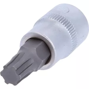 3/8" bit-hylsa TorxPlus. IP50