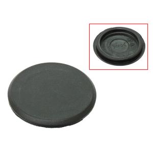 CAPUCHON ROUE CAP WHEEL