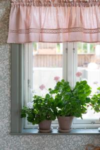 Gardinkappa SANNA på metervara med infälld spets i ljusrosa