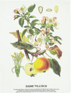 Kökshandduk Signe, äppelträd, Multi 50x70cm