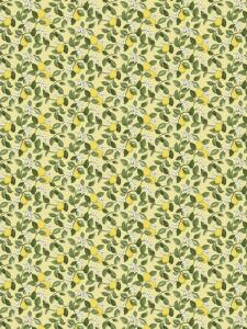 Panelgardin CITRONLYCKA med gula citroner på gul bottenfärg