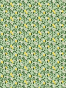 Panelgardin CITRONLYCKA med gula citroner på grön bottenfärg