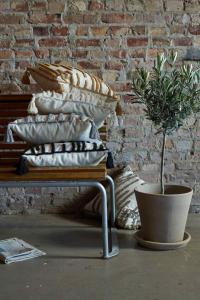 Kuddfodral TRIBECA, vetegul