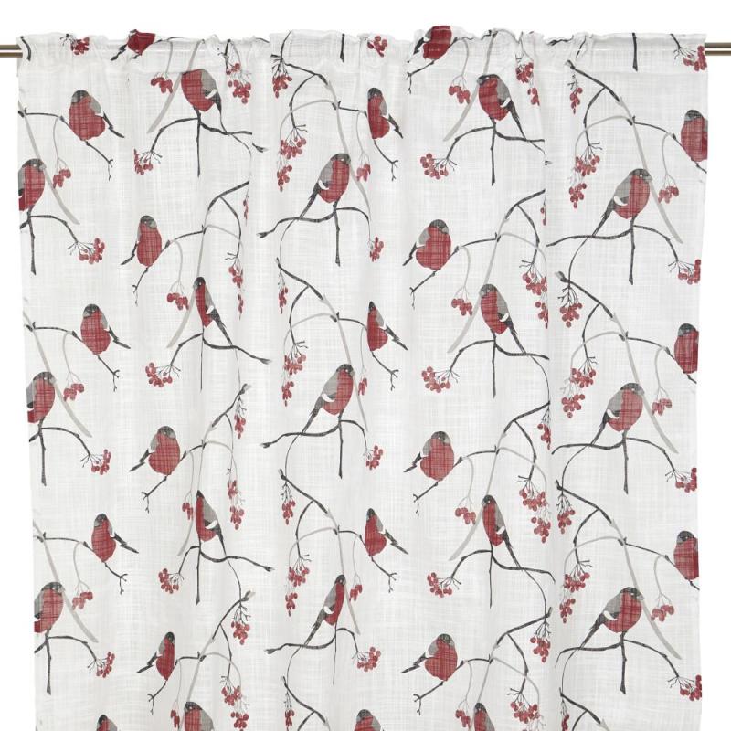 Gardin DOMHERRE med röda Domherrar på vit bottenfärg