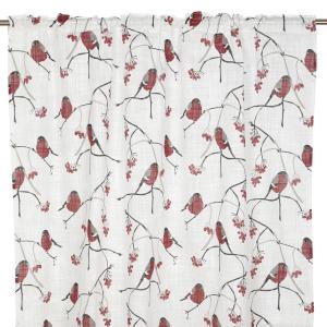 Gardin DOMHERRE med röda Domherrar på vit bottenfärg