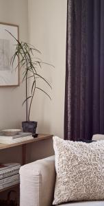 Gardinlängd Wayne 2x140x240cm, enfärgad, mörkbrun