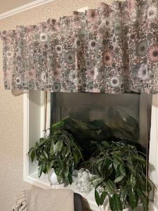 Gardinkappa Alva med stora och små blommor i retrostil i rosa och grönt