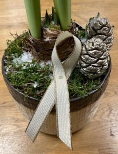 Textilband, 15mm, beige med guldkant