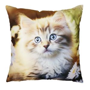 Kuddfodral MISSE med en ljuvligt söt liten kattunge