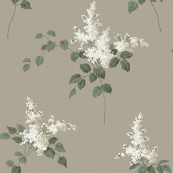 Tapet Lilacs, Falsterbo III, mullvadsfärgad botten, vita syrener