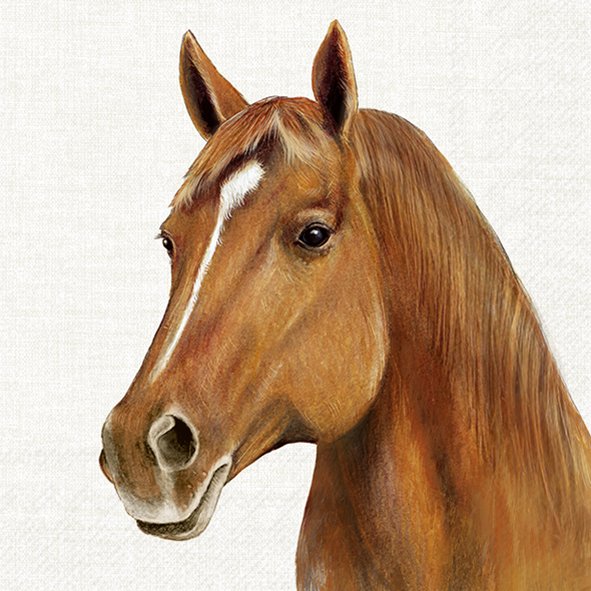 Pappersservett FARM HORSE, med vackert hästhuvud, bottenfärgen är ljusgrå