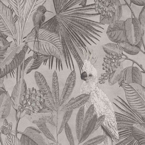 Vinyltapet 220120, Tropics, kakadua, kolibri i djungel, grå