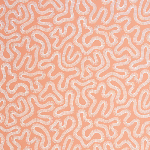 Tapet Coral Peach Blusch, Pioneer, abstrakt korall i vit, aprikos botten.