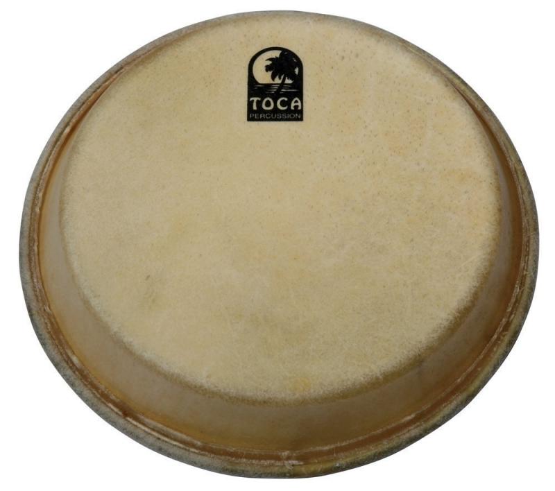 Percussion head Traditional Series Conga & Bongo 11" Conga, Toca TP-39011