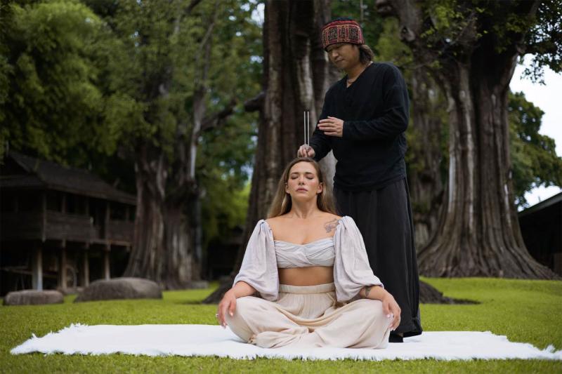 Meinl Percussion TCM Therapy Tuning Fork Set, 2 pcs., TTF-TCM-YYSET