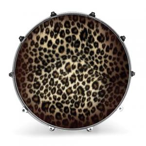 22" Evans Inked – LEOPARD