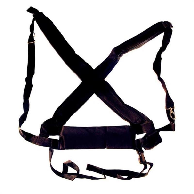 Afroton Belt, pro, padded – 2 hooks