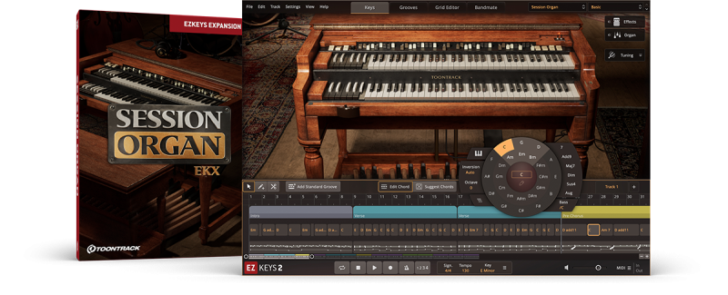 Session Organ EKX