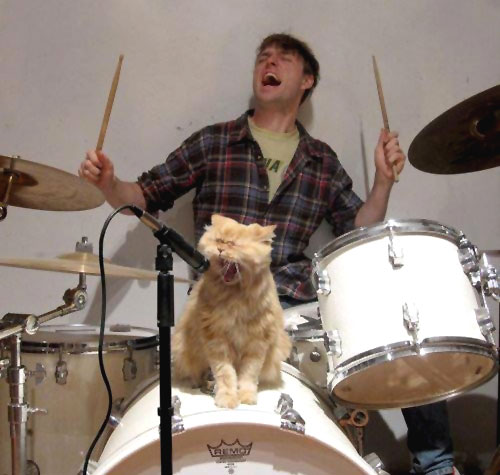 Katt och trummor - vad mer behövs?