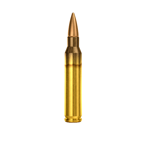 Magtech .223 55 gr - ask