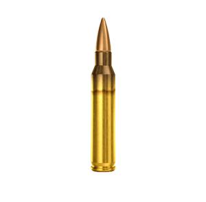 Magtech .223 55 gr - ask