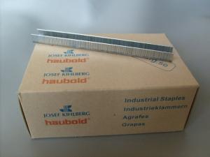 Klammer Rostfria 10 000-pack 10 mm