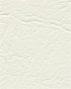 Elk yttertakduk  vitt