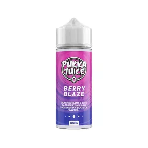 PUKKA JUICE - 100ML SHORTFILL