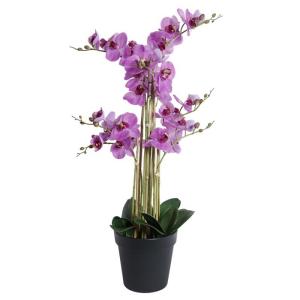 Orkidé/8 stam Lila H80 cm