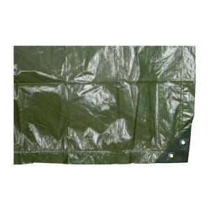 Tarpaulin Supreme, 6x8m, Green, ETC