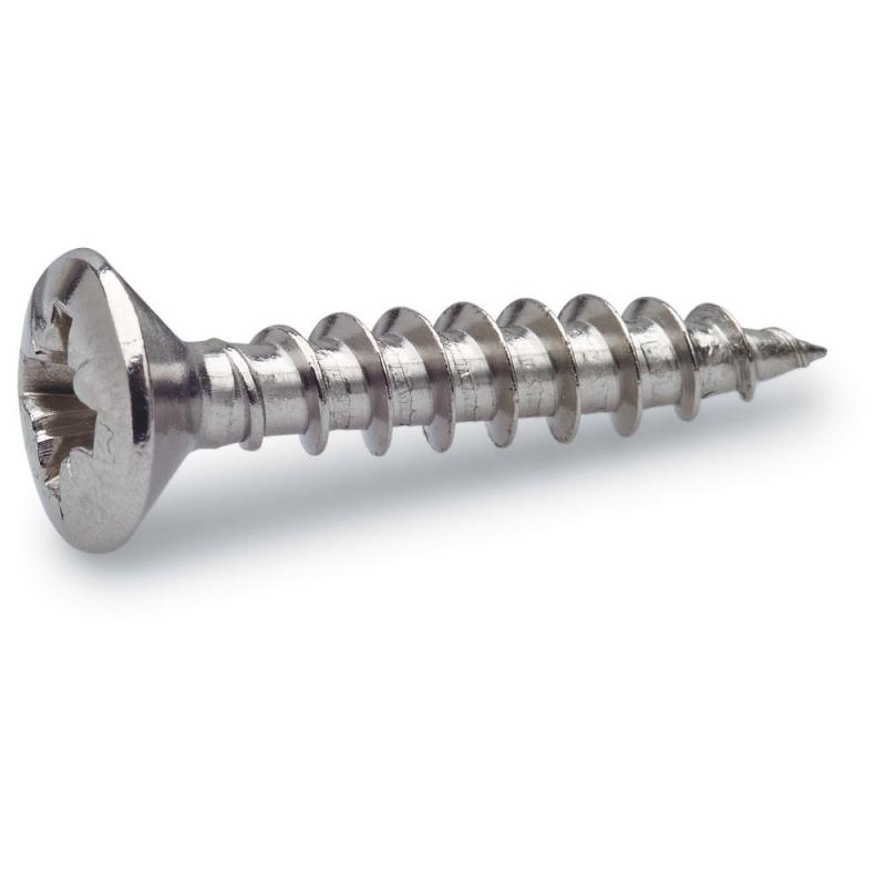 VVS Skruv A2 Polerad 6,0x60mm 4st Fast 281029