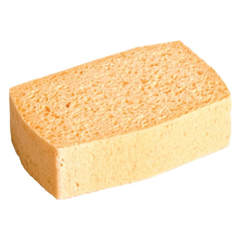 Cellulosasvamp Tebo
