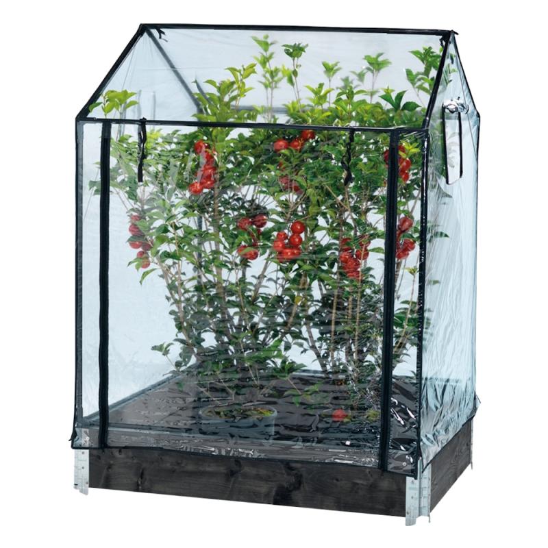 Drivhus Højdyrkningshalsbånd, Hortus