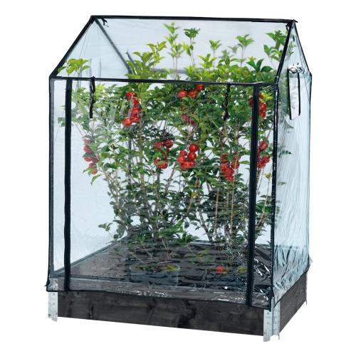 Drivhus Højdyrkningshalsbånd, Hortus